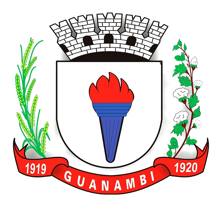 Brasão da seguinte cidade: Guanambi