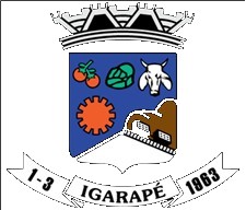 Brasão da seguinte cidade: Igarapé