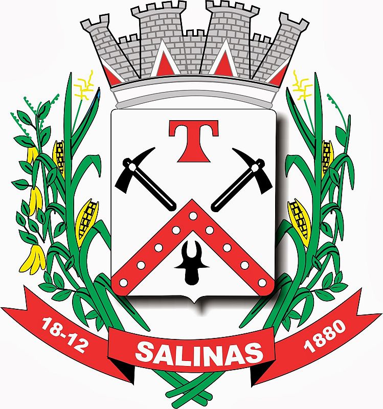 Brasão da seguinte cidade: Salinas