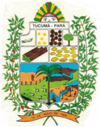 Brasão da seguinte cidade: Tucumã