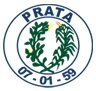 Brasão da seguinte cidade: Prata