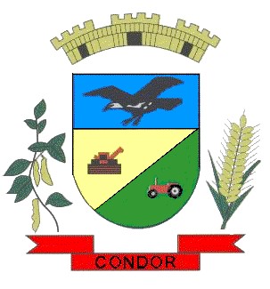 Brasão da seguinte cidade: Condor