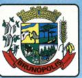 Brasão da seguinte cidade: Brunópolis