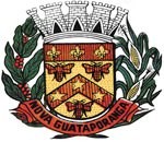 Brasão da seguinte cidade: Nova Guataporanga