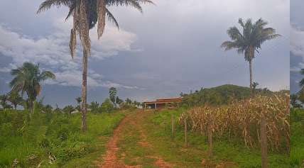 Foto da prefeitura de Paulo Ramos