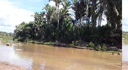 Foto da prefeitura de Canavieira