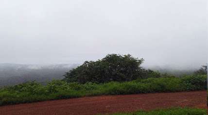 Foto da prefeitura de Tanque do Piauí