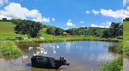 Foto da prefeitura de Branquinha