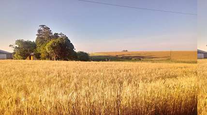 Foto da prefeitura de Boa Vista do Incra