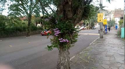 Foto da prefeitura de Mato Leitão